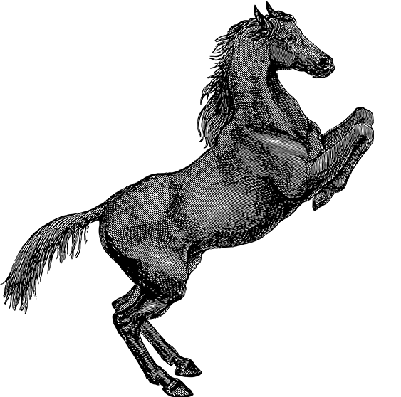 多多28